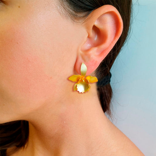 Aretes orquídea quadricolor