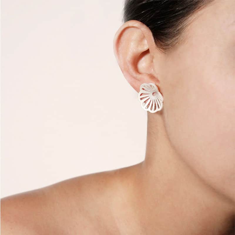 Aretes orbiculata