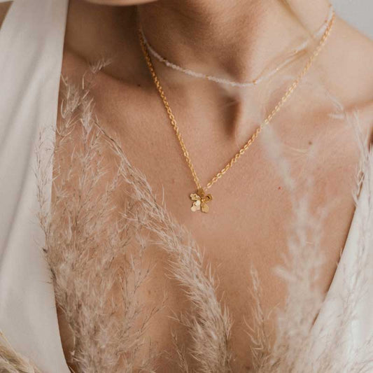 Collar dije mini merania