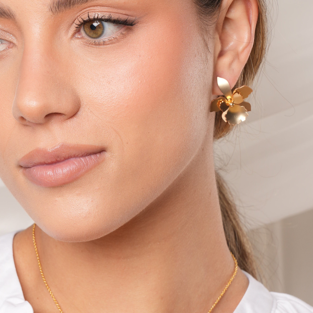 Aretes quadricolor medianos