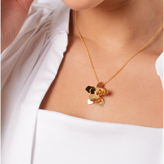 Collar dije quadricolor