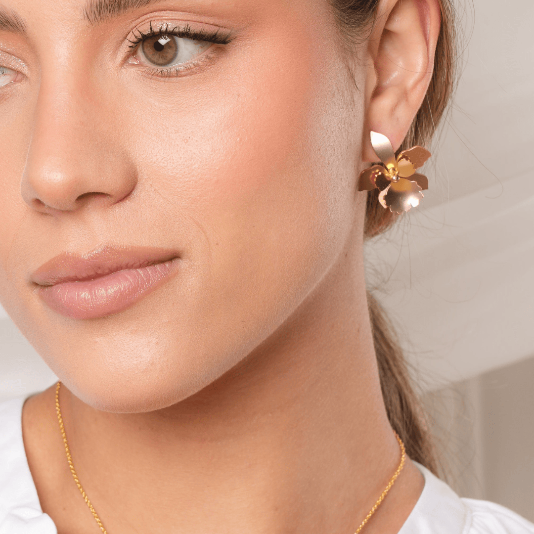 Dicca Aretes quadricolor medianos