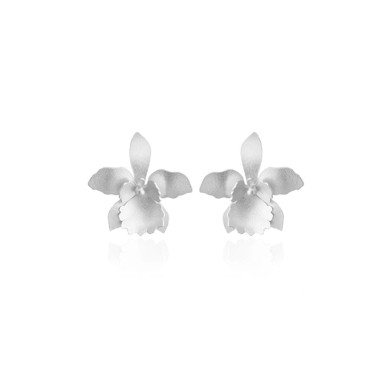 Dicca Plateado Aretes quadricolor medianos