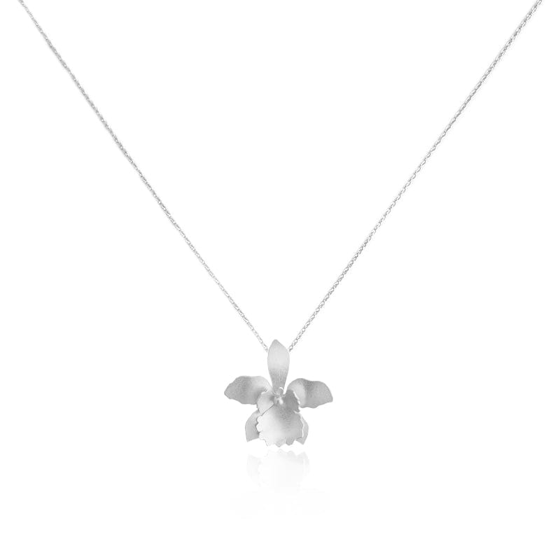 Dicca Plateado Collar dije quadricolor