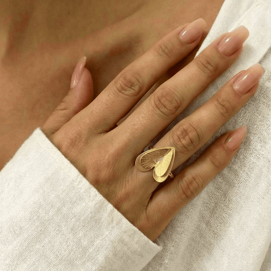 Dicca variation Anillo Amahi