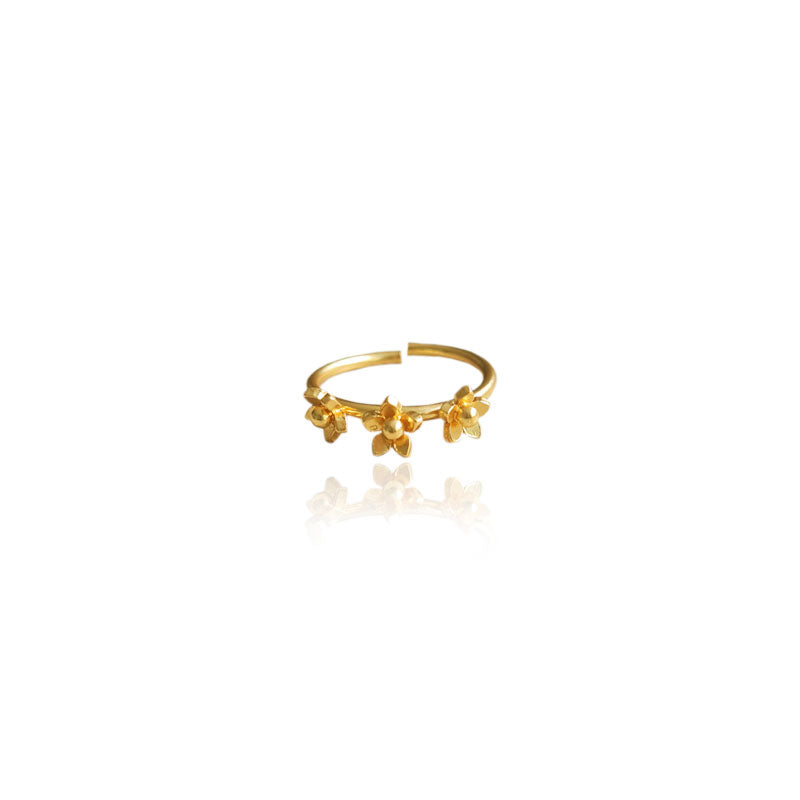 Anillo 3 mini guayacán
