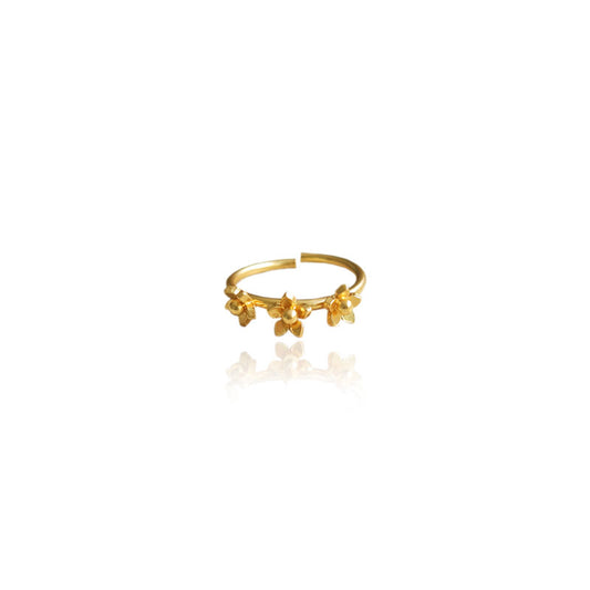 Anillo 3 mini guayacán