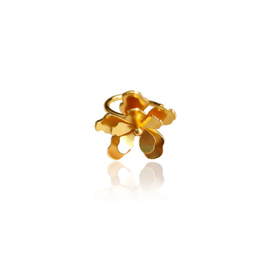 Anillo merania