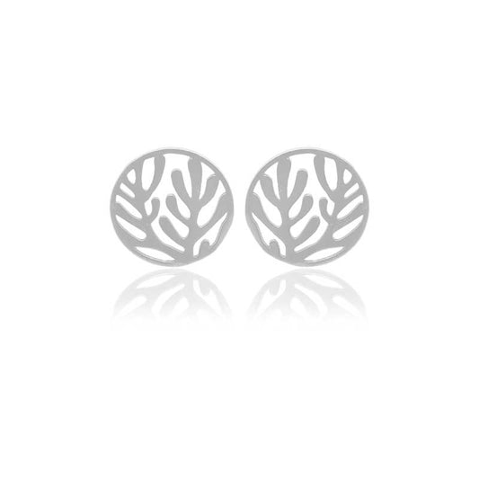 Aretes topo arrecife grande