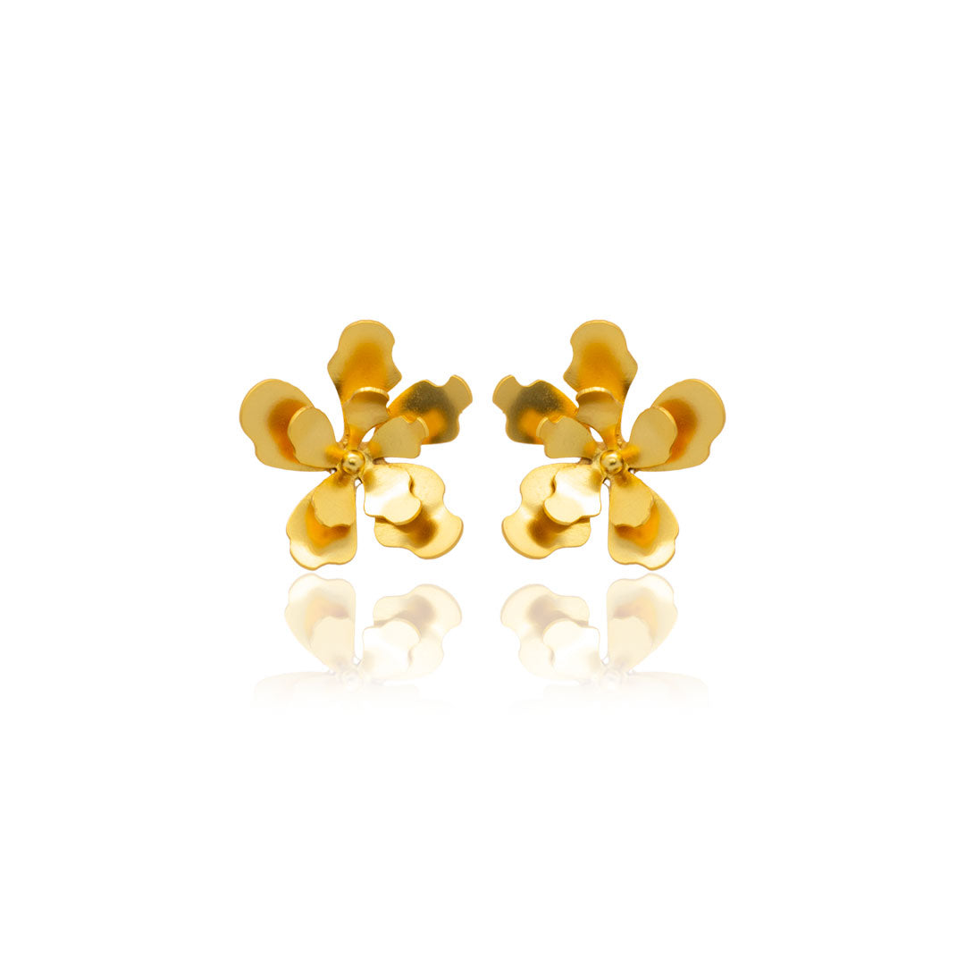 Aretes merania pequeños