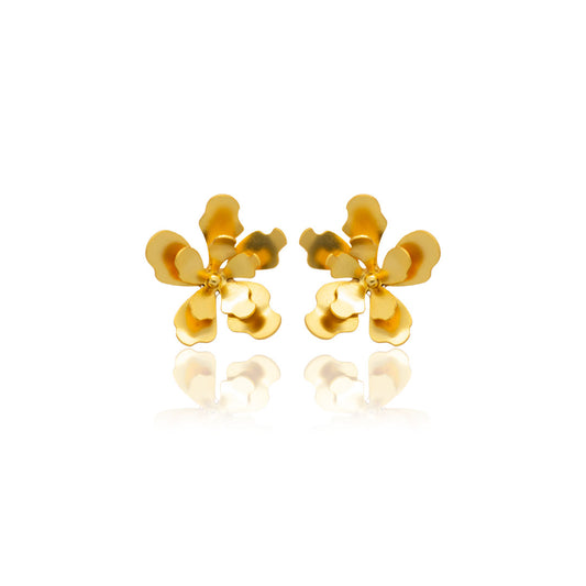 Aretes merania pequeños