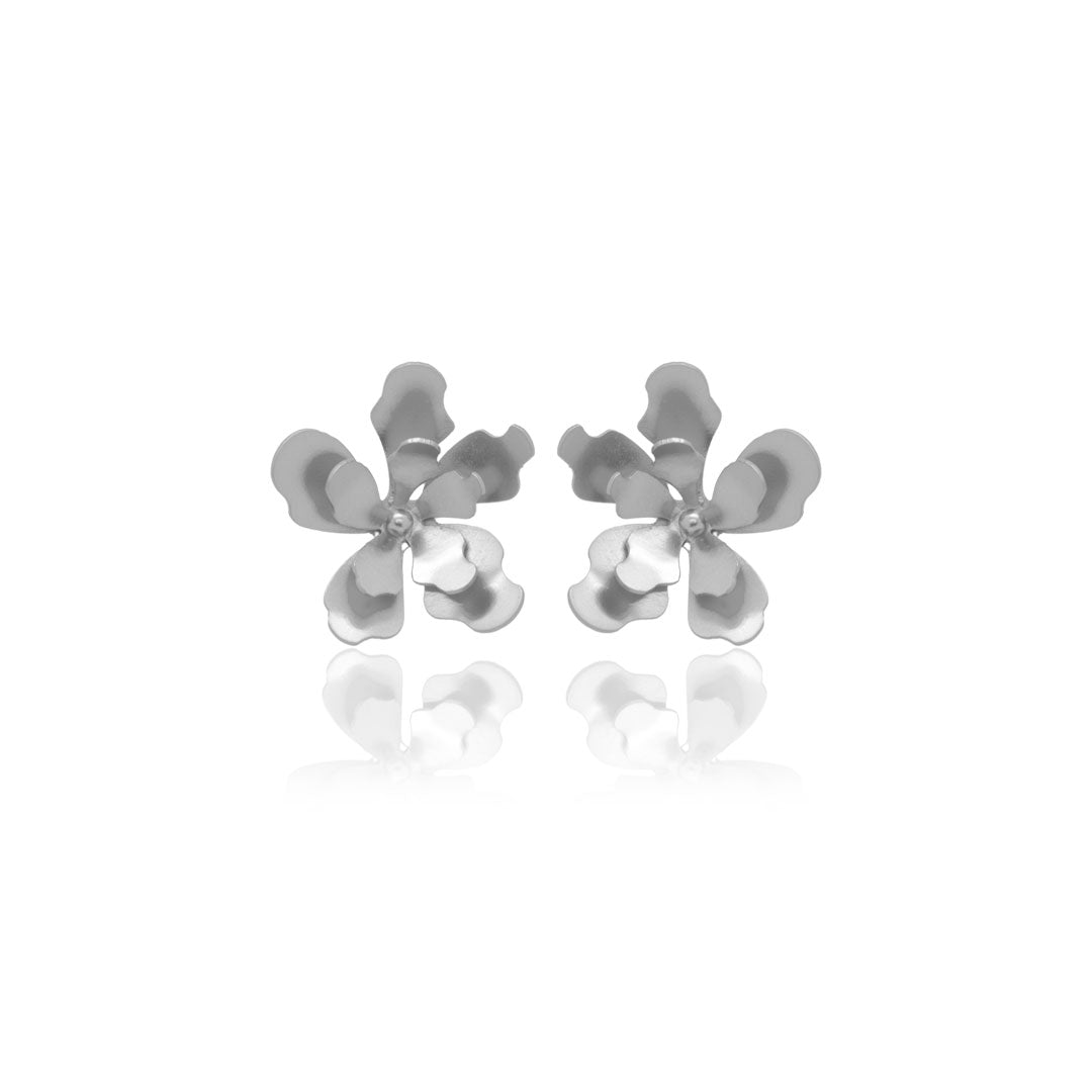 Aretes merania pequeños