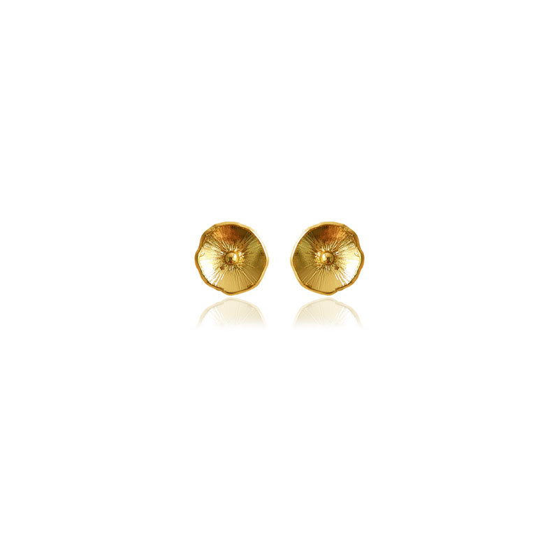 Aretes mini Renacer