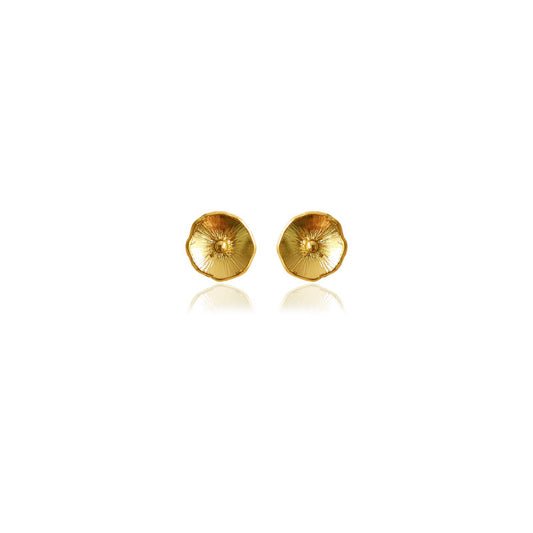 Aretes mini Renacer