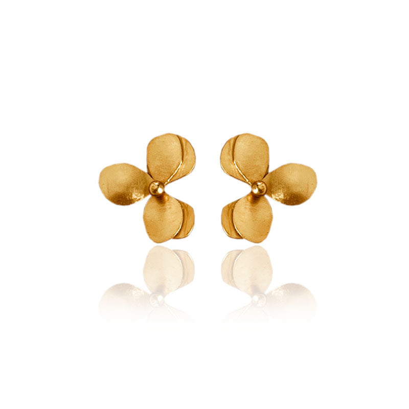 Aretes Numu