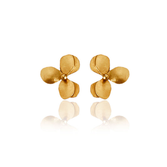Aretes Numu