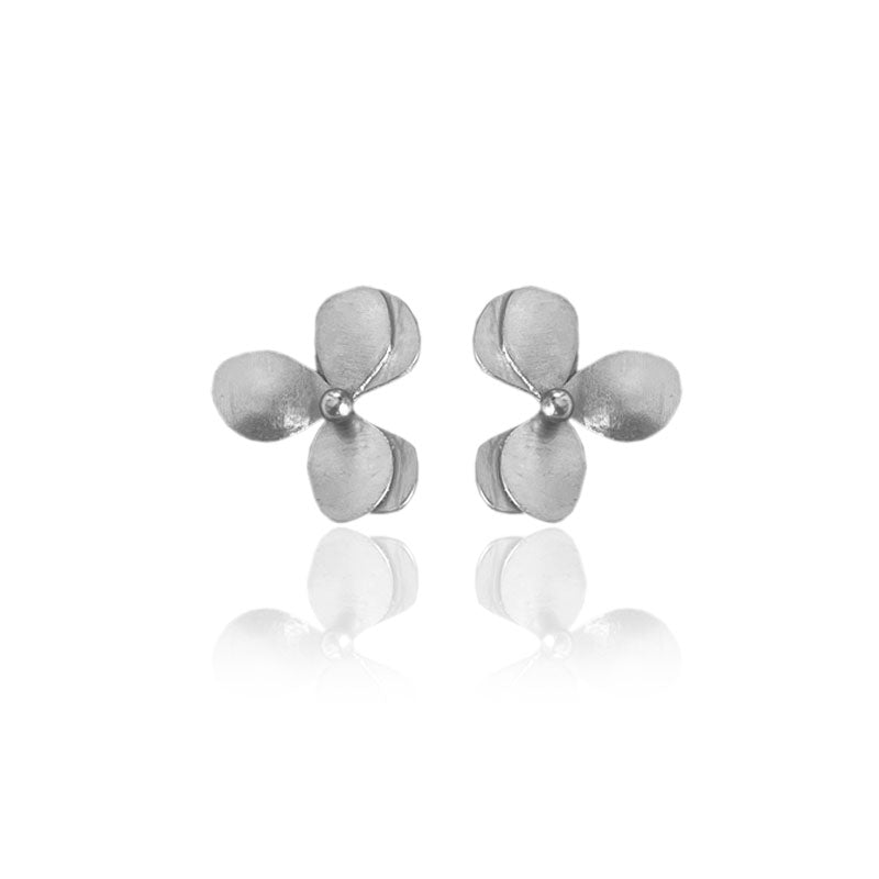 Aretes Numu