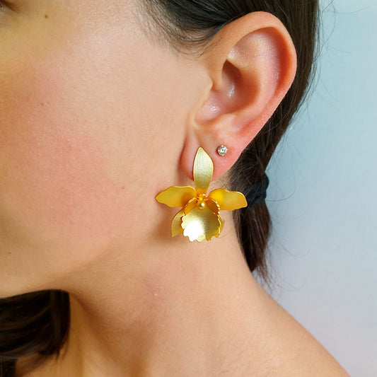 Aretes orquídea quadricolor