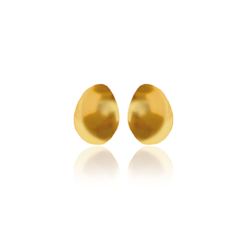 Aretes topo Andinia