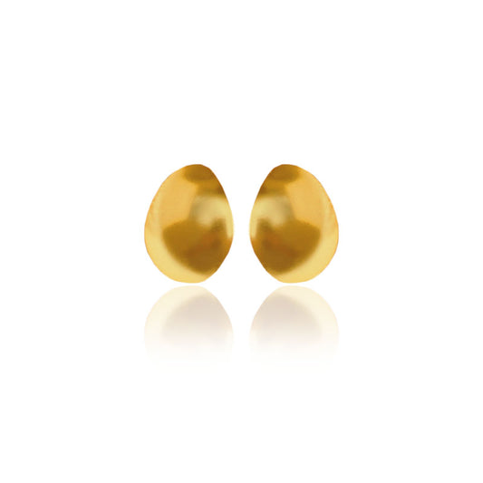Aretes topo Andinia