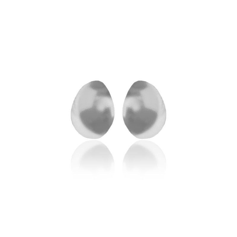 Aretes topo Andinia