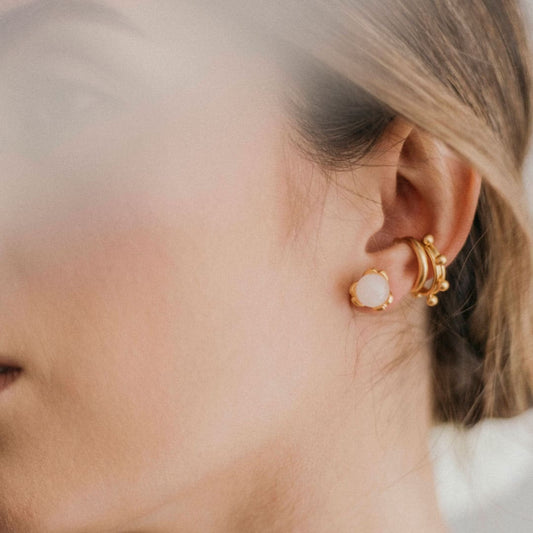 Aretes topo semilla