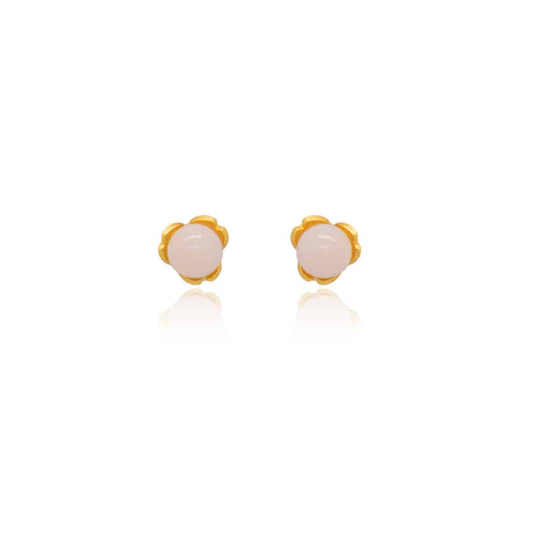 Aretes topo semilla
