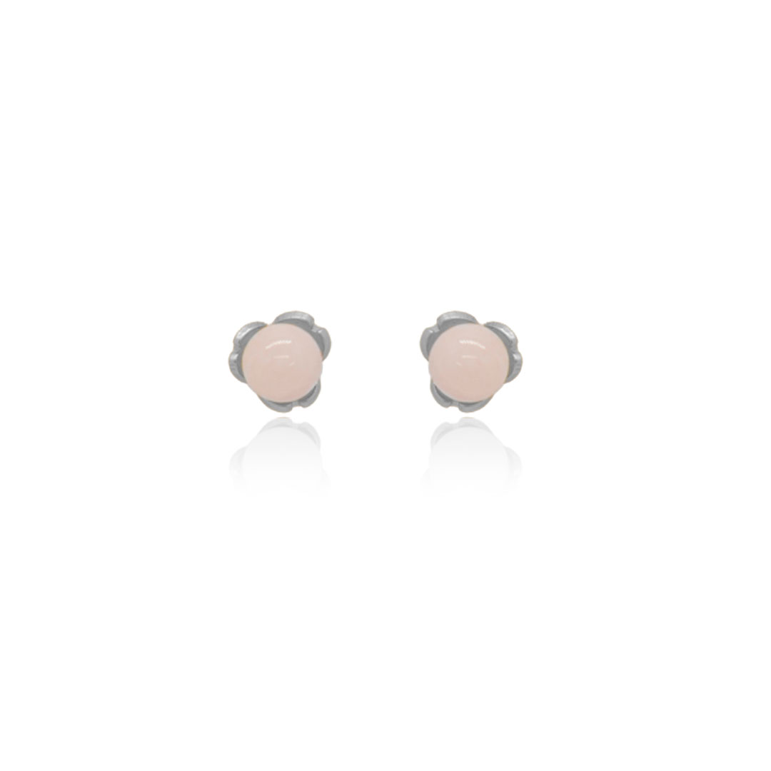Aretes topo semilla