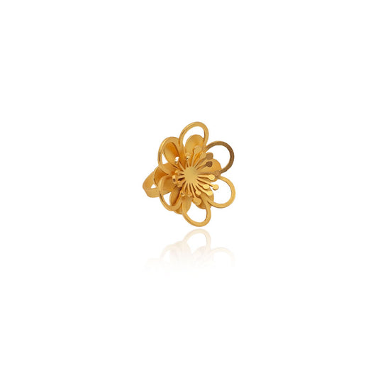 Anillo Lara
