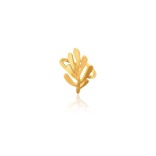 Anillo alga