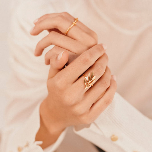 Anillo alga