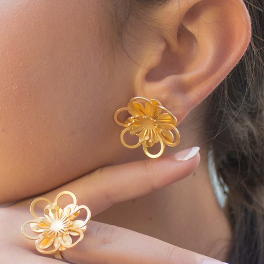 Aretes Lara