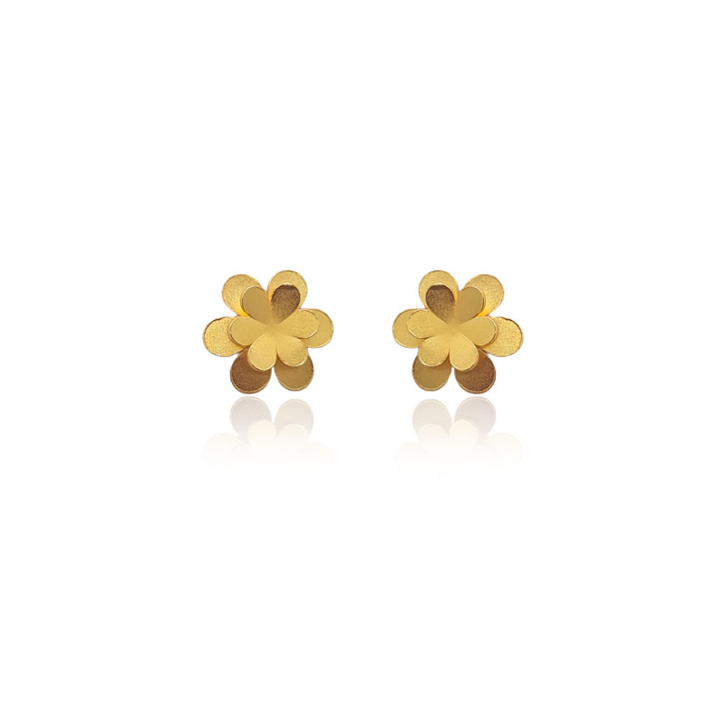 Aretes adara