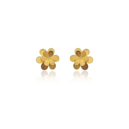 Aretes adara