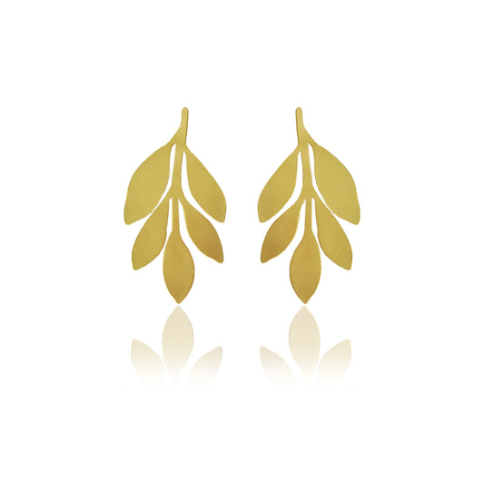 Aretes cala