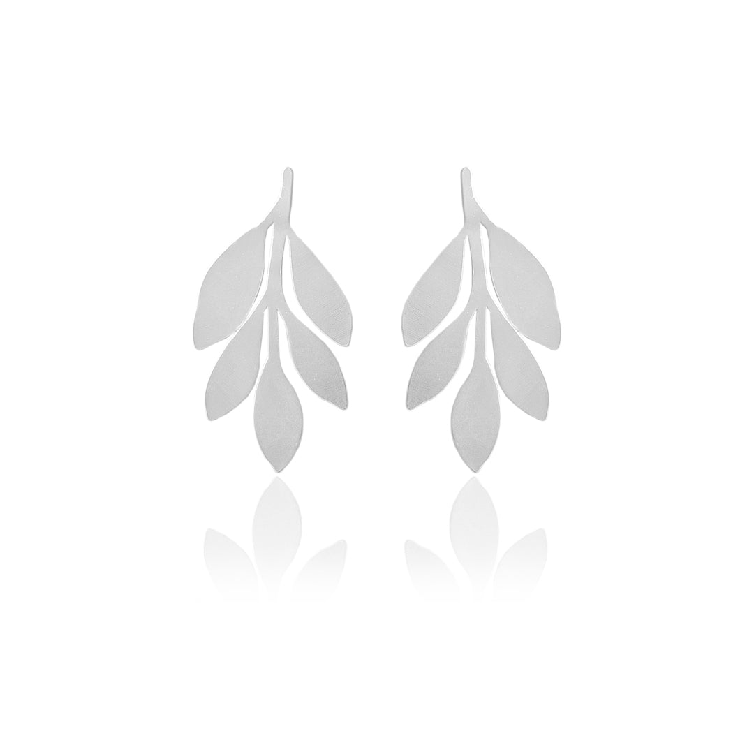 Aretes cala
