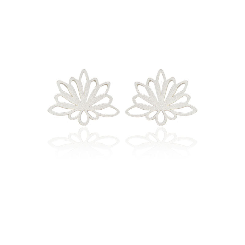 Aretes espeletia