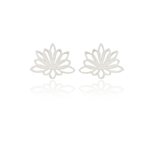 Aretes espeletia