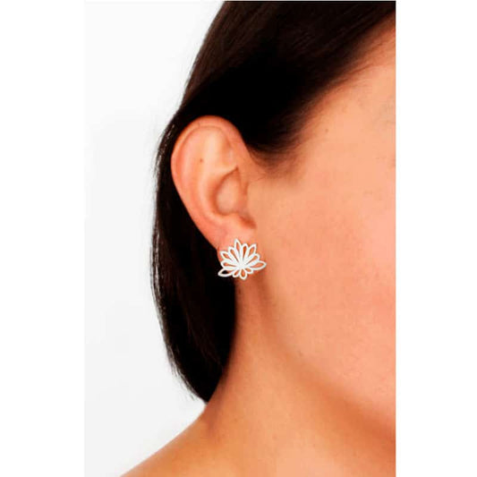Aretes espeletia