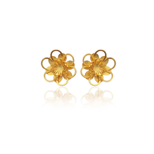 Aretes Lara