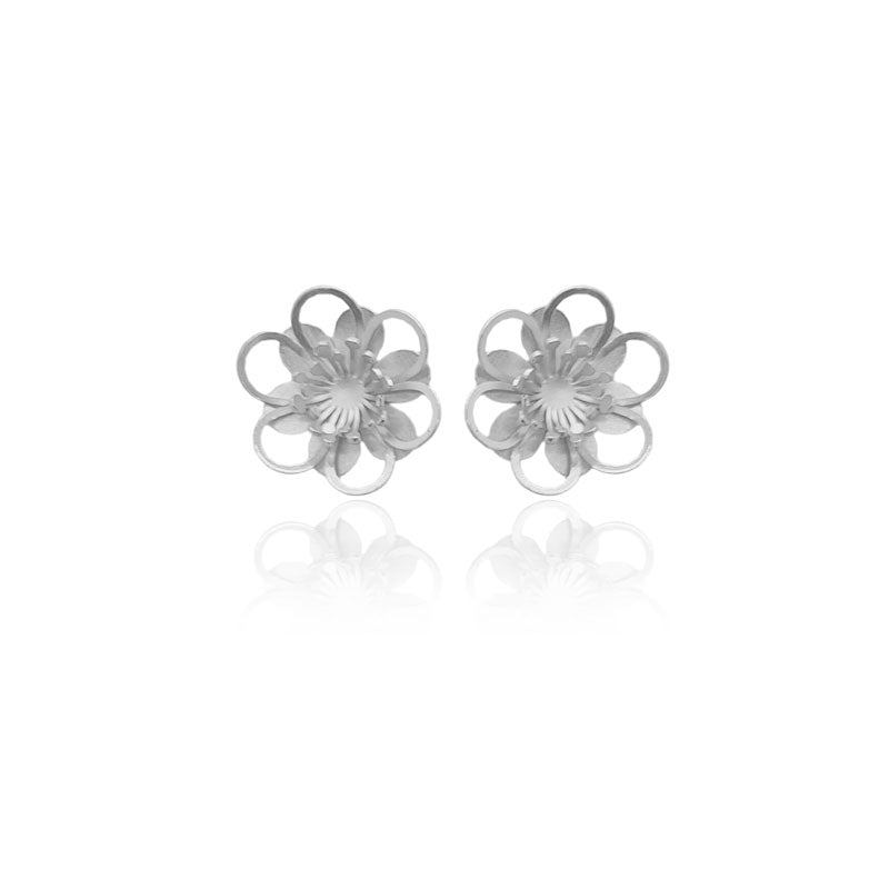 Aretes Lara