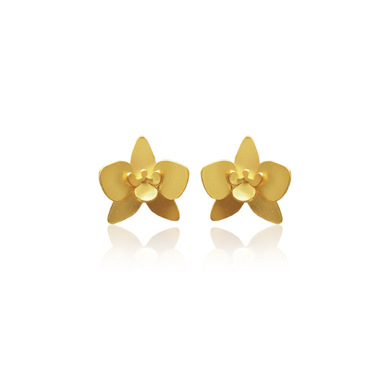 Aretes quadricolor mini