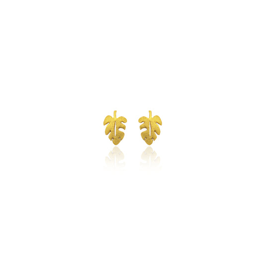 Aretes monstera