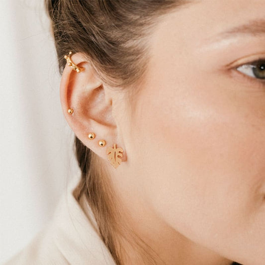 Aretes monstera
