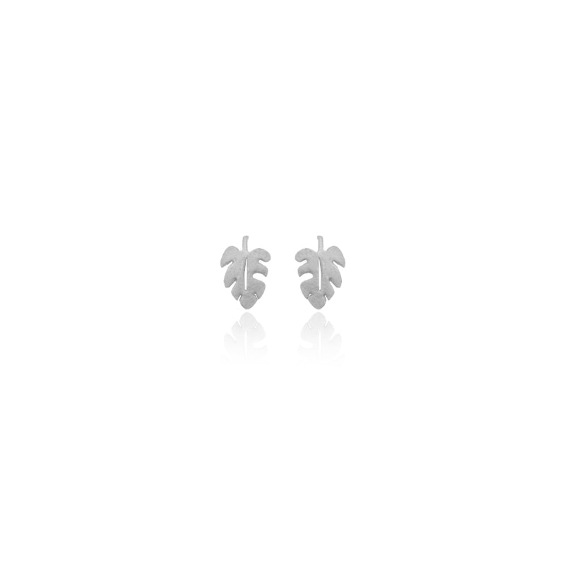 Aretes monstera