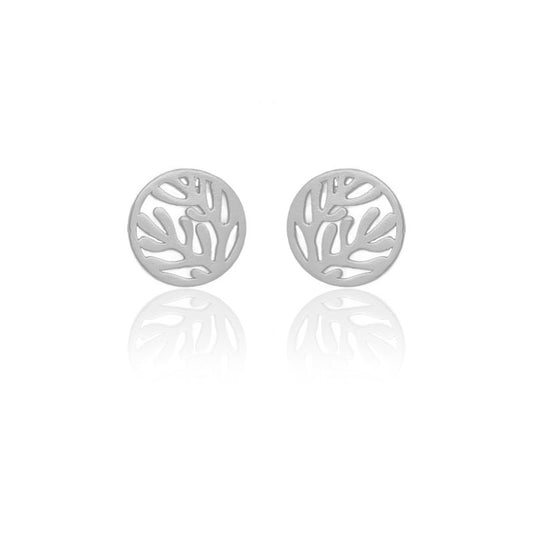 Aretes topo arrecife