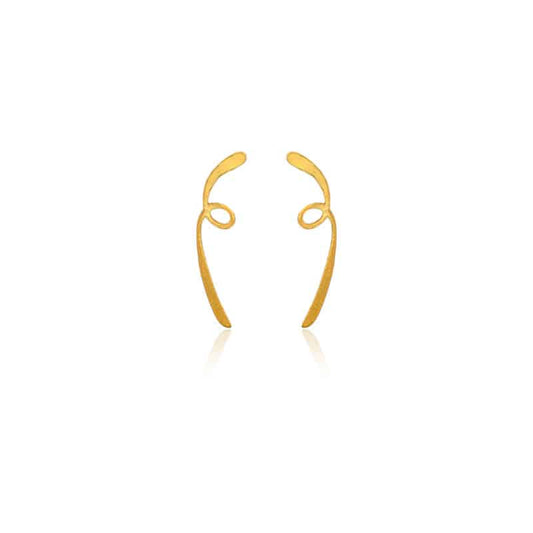 Aretes topo fili