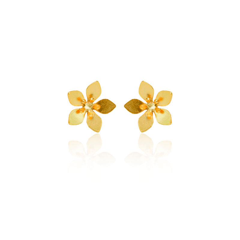 Aretes topo guayacán
