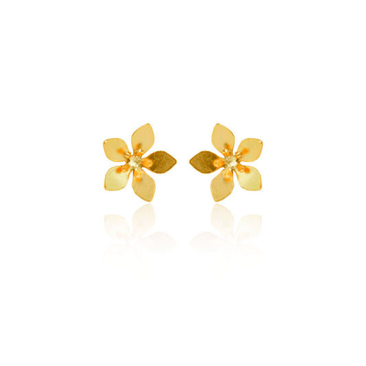 Aretes topo guayacán