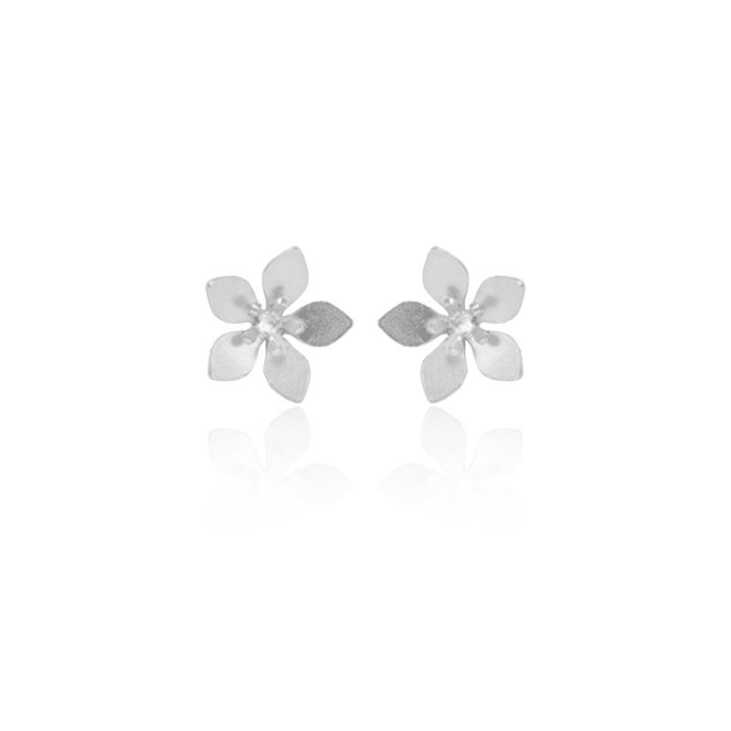 Aretes topo guayacán